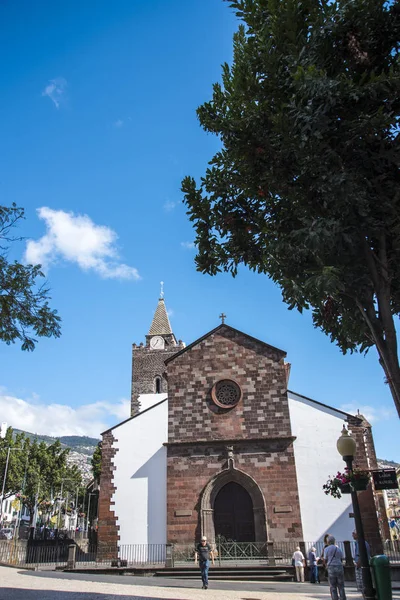 Cathedral Our Lady Assumption Called Tree Lined Main Shopping Streets — Stock Photo, Image