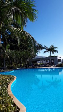 Atlas Okyanusu 'ndaki Madeira adasında Funchal' da palmiye ağaçlarıyla çevrili yüzme havuzu.