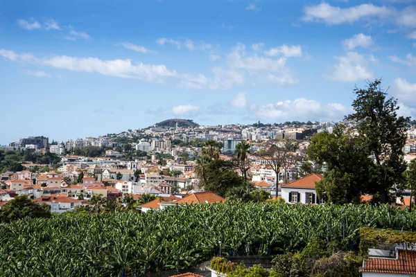 Funchal Capital Isla Madeira Las Casas Techos Distintivos Parecen Amontonarse — Foto de Stock