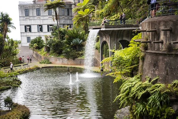 Tropical Garden Monte Funchal Madeira Wonderful Garden Top Cablecar Seafront — Stock Photo, Image