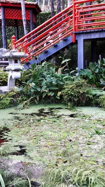 Tropische Tuin Monte Boven Funchal Madeira Deze Prachtige Tuin Ligt — Stockfoto