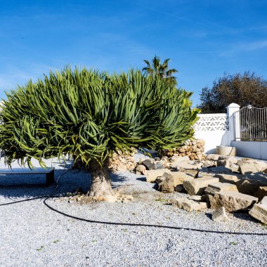 Güney İspanya 'da Costa del Sol' da Torrox sahilinde. Torrox 'un bir deniz feneri, müzesi ve Roma Tuzu kalıntıları var. 