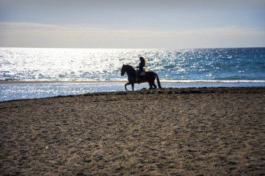 Endülüs güzel atlarıyla ünlüdür. Endülüs ya da Saf İspanyol Atı, atalarının binlerce yıldır yaşadığı İber Yarımadası 'nda yaşayan bir attır.