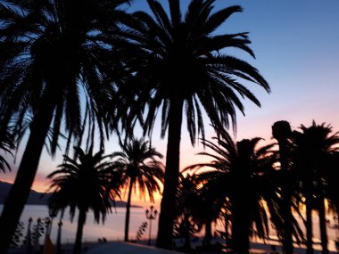  Europa Balkonu, Costa del Soldaki sahil kasabası Nerja 'da büyük yuvarlak bir balkon. Balkon aslında korsanlara karşı korunmak için kullanılan 9. yüzyıldan kalma bir savunma kulesinin gözetleme kulemesine ev sahipliği yapıyordu.   