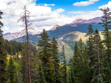 Durango 'dan Silverton' a uzanan ve Colorado 'daki Animasyon Nehri' nin kıyısındaki Rocky Dağları 'ndan geçen Narrow Gauge Demiryolu 1881' den beri aralıksız çalışıyor ve ABD 'de sürekli buhar lokomotifi kullanan birkaç yerden biridir.