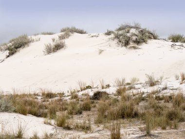 White Sands Ulusal Anıtı, kum tepelerine savrulan büyük, eşsiz bir alçı taşı alanıdır. Amerika Birleşik Devletleri 'nin New Mexico eyaletindeki Los Alamos Füze Aralığı, atom bombasının geliştirildiği ve oluşturulduğu yerdir.