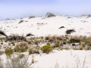 White Sands Ulusal Anıtı, kum tepelerine savrulan büyük, eşsiz bir alçı taşı alanıdır. Amerika Birleşik Devletleri 'nin New Mexico eyaletindeki Los Alamos Füze Aralığı, atom bombasının geliştirildiği ve oluşturulduğu yerdir.