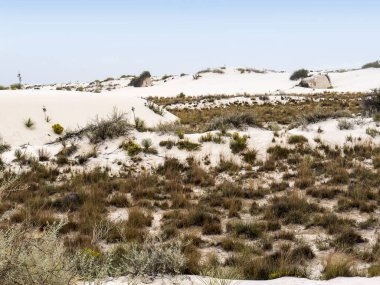 White Sands Ulusal Anıtı, kum tepelerine savrulan büyük, eşsiz bir alçı taşı alanıdır. Amerika Birleşik Devletleri 'nin New Mexico eyaletindeki Los Alamos Füze Aralığı, atom bombasının geliştirildiği ve oluşturulduğu yerdir.