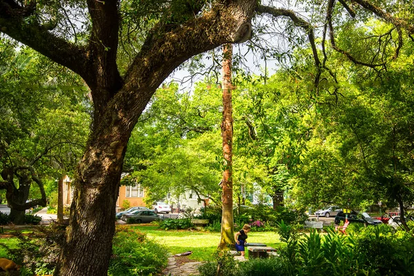 Shady Park Een Warme Zomerdag New Orleans Louisiana Usa — Stockfoto