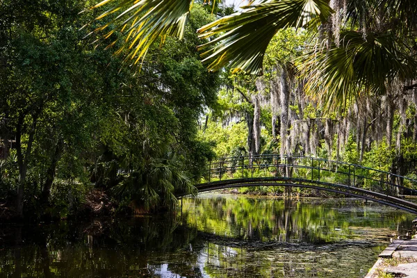 Испанский Мосс Деревьях Городском Парке Нового Орлеана Луизиана Сша — стоковое фото