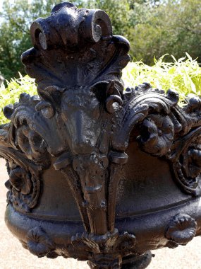 Sadece bir saksı ama New Orleans Louisiana, ABD 'de komik suratıyla beni eğlendiren bir çiçek.