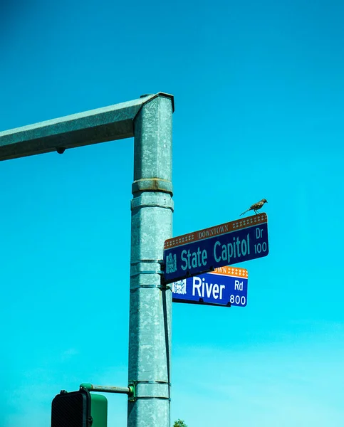 米国ルイジアナ州バトンルージュの象徴的な高速道路標識鳥が方向を探しています — ストック写真