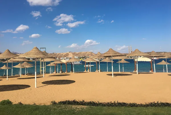 Parasole Słomy Plaży Red See Romantyczny Wypoczynek Egipcie — Zdjęcie stockowe