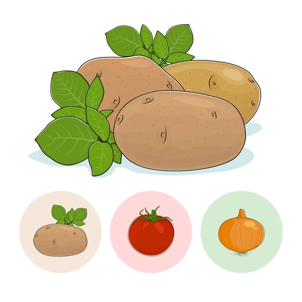 Ícones Batata, Tomates, Cebola — Vetor de Stock