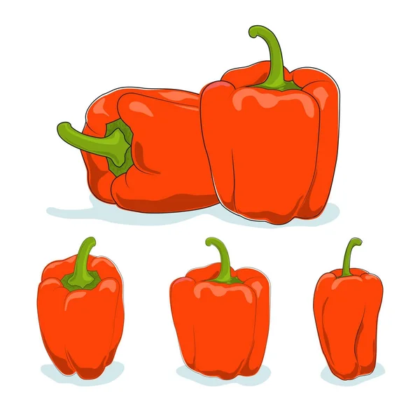 Orangen Paprika, Paprika oder Paprika — Stockvektor