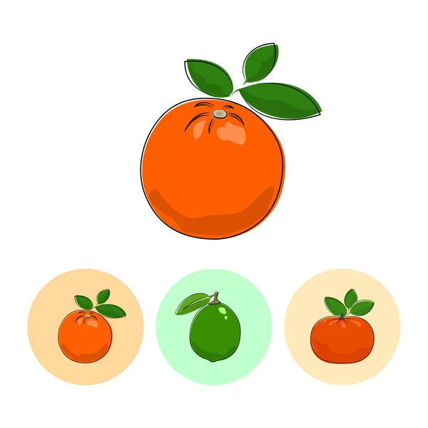 Fruit Icons, Orange, Lime, Mandarin — стоковый вектор