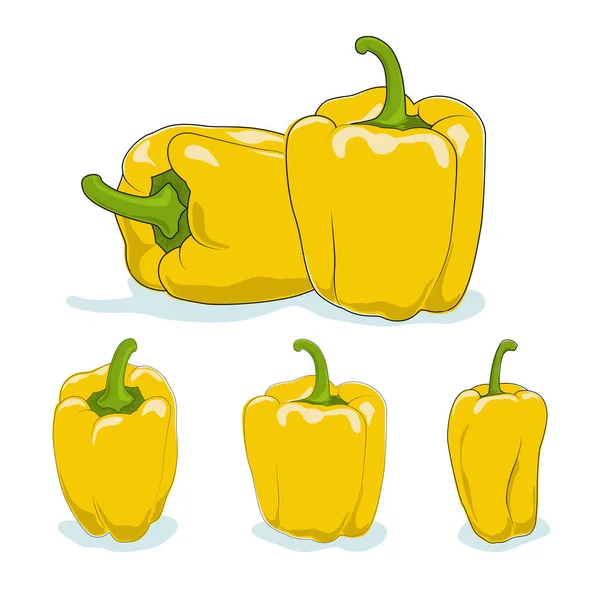 Yellow bell pepper,sweet pepper or capsicum — Stock Vector