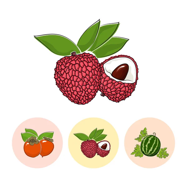 果物アイコン、Lichee、柿、スイカ — ストックベクタ