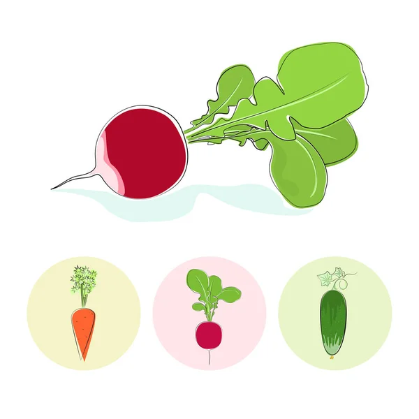 Icônes radis, concombre, carotte — Image vectorielle