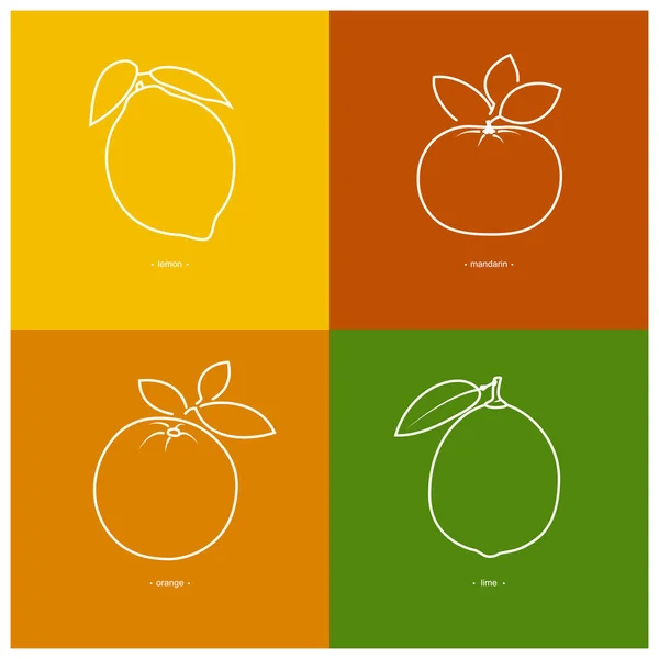 Мандарин, апельсин, лимон, лайм — стоковый вектор