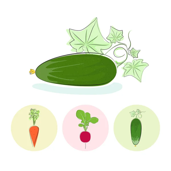 Icônes concombre, carotte, radis — Image vectorielle