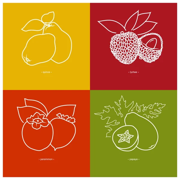 Quince, Lichee, caqui, papaya — Vector de stock