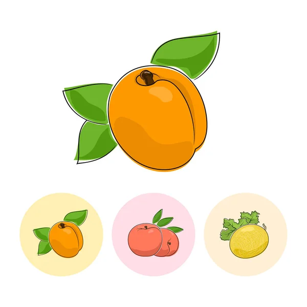 水果图标, 杏, 桃, 瓜 — 图库矢量图片