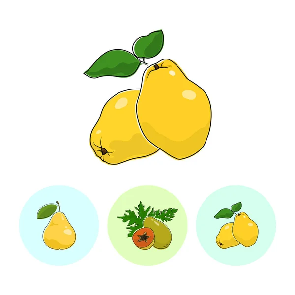 Icônes de fruits, Coing, Papaye, Poire — Image vectorielle