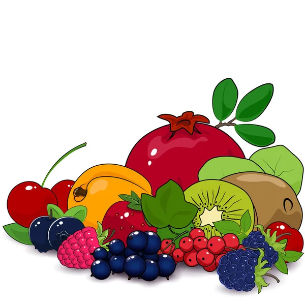 Nyári gyümölcsök és bogyók — Stock Vector