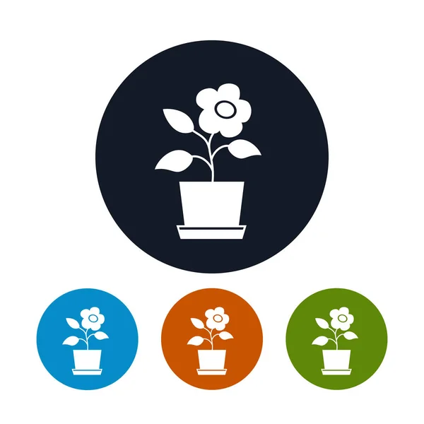 Fyra typer av runda ikoner blomkruka — Stock vektor