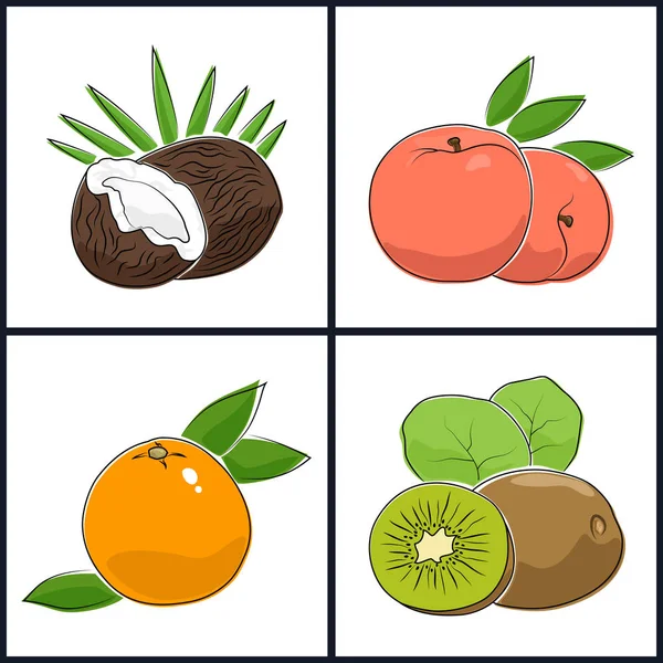 Pamplemousse, pêche, kiwi, noix de coco — Image vectorielle
