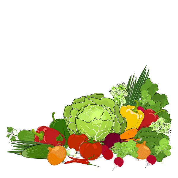 Fresh Raw Vegetables Isolated on White — Stock Vector