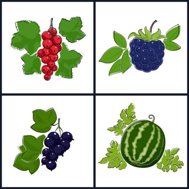 Somun, Blackcurrant, karpuz, Blackberry