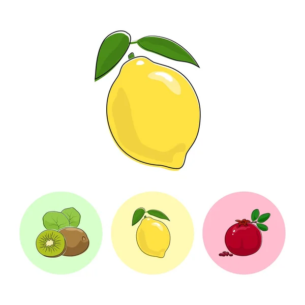 Fruit Icons, Lemon, Kiwifruit, Pomegranate — стоковый вектор