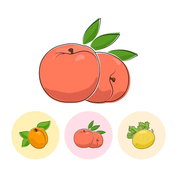 Frukt ikoner, persika, aprikos, Melon — Stock vektor