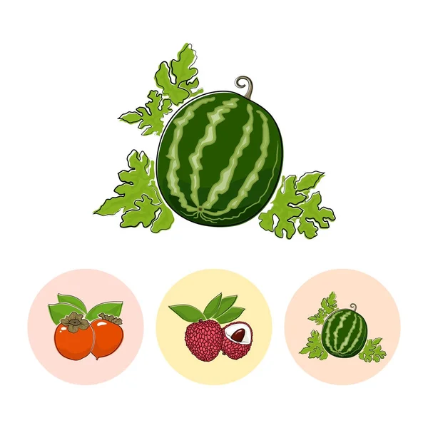 Icônes de fruits, pastèque, lichee, kaki — Image vectorielle