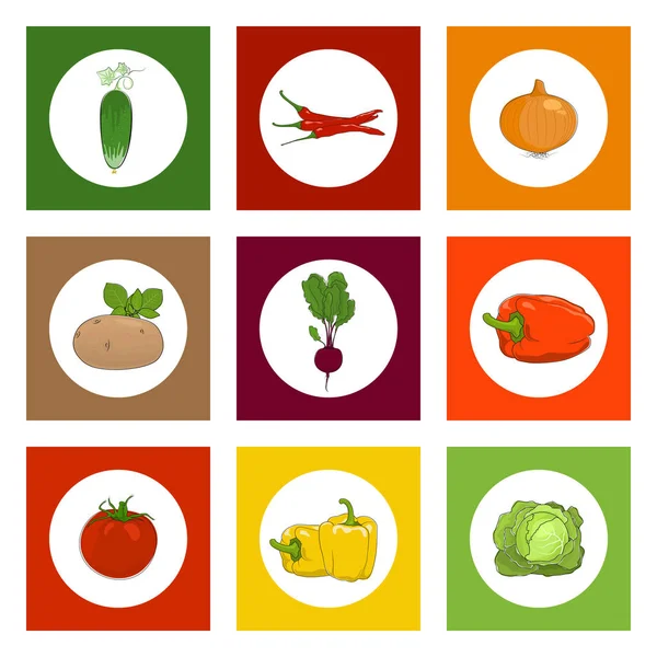 Runde Symbole Gemüse auf buntem Hintergrund — Stockvektor