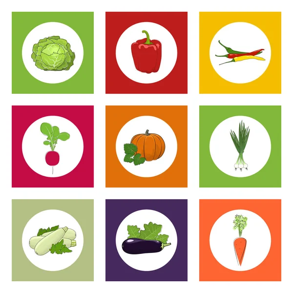 Runde Symbole Gemüse auf farbigem Hintergrund — Stockvektor