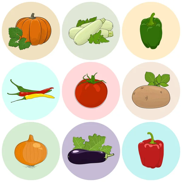 Round Colored Icons Fresh Vegetables — Stock Vector