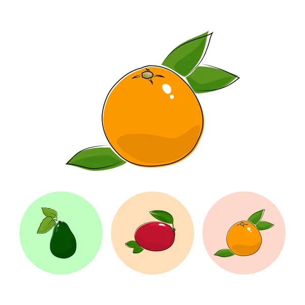 Fruit Icons, Grapefruit, Mango, Avocado — стоковый вектор