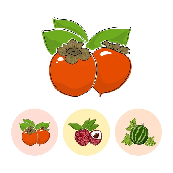 Fruit Icons, Persimmon, Lichee, Watermelon — стоковый вектор