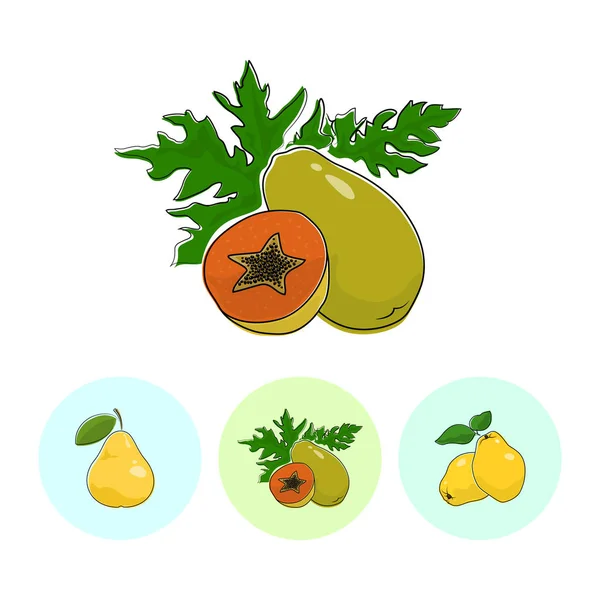 Iconos de frutas, Papaya, Pera, Quince — Archivo Imágenes Vectoriales