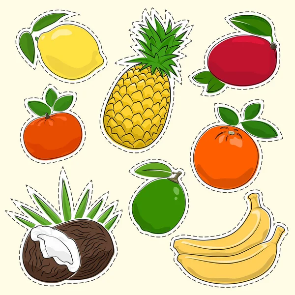 热带和柑橘类水果贴纸套装 — 图库矢量图片