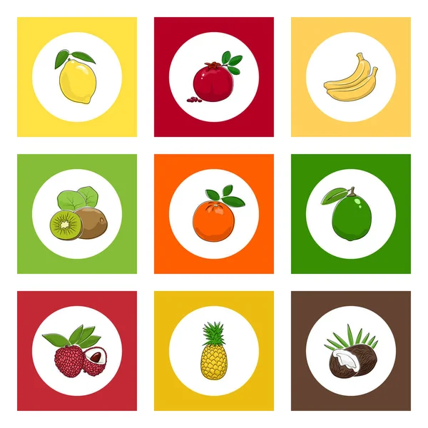 Icons Citrus Tropical Fruits on Colored Background — Stock Vector
