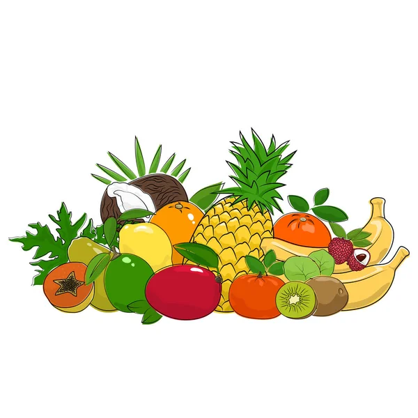 Conjunto de frutas tropicais de verão — Vetor de Stock