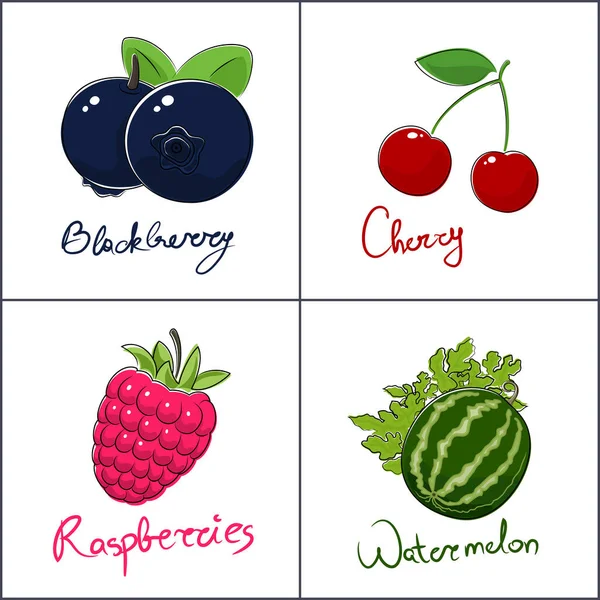 一组水果 背景为白色 有水果 甜浆果 黑莓和樱桃 覆盆子和西瓜的名称 说明病媒 — 图库矢量图片