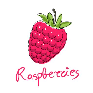 Tatlı pembe ahududu ve metin ahududu, beyaz arka planda izole edilmiş meyve, vektör illüstrasyonu