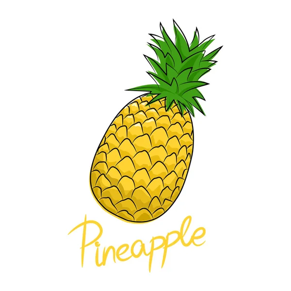 Ananas Testo Ananas Frutti Tropicali Isolati Sfondo Bianco Illustrazione Vettoriale — Vettoriale Stock