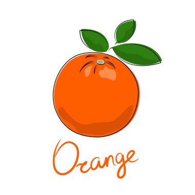 Turuncu turuncu ve turuncu yazı, beyaz arkaplanda izole edilmiş tropikal meyve, vektör illüstrasyonu