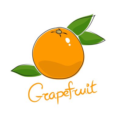 Citrus pomelo ve metin Greyfurt, beyaz arka planda izole tropikal meyve, vektör illüstrasyonu